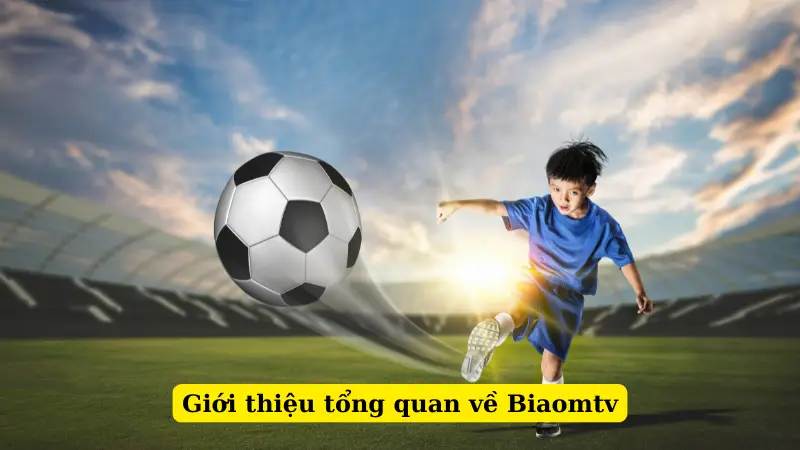 Giới thiệu tổng quan về Biaomtv